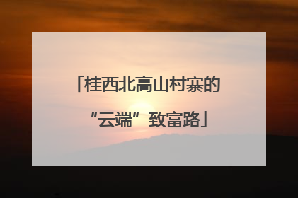 桂西北高山村寨的“云端”致富路