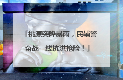 桃源突降暴雨，民辅警奋战一线抗洪抢险！