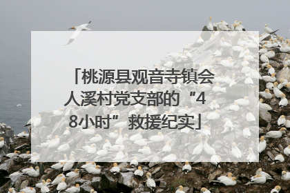 桃源县观音寺镇会人溪村党支部的“48小时”救援纪实