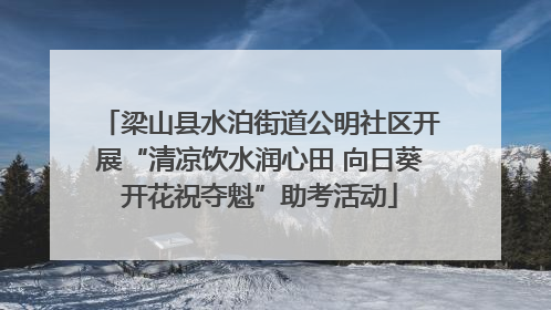 梁山县水泊街道公明社区开展“清凉饮水润心田 向日葵开花祝夺魁”助考活动