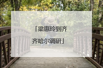 梁惠玲到齐齐哈尔调研