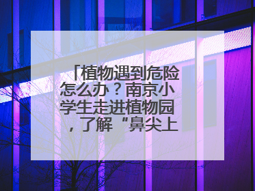 植物遇到危险怎么办？南京小学生走进植物园，了解“鼻尖上的博物学”