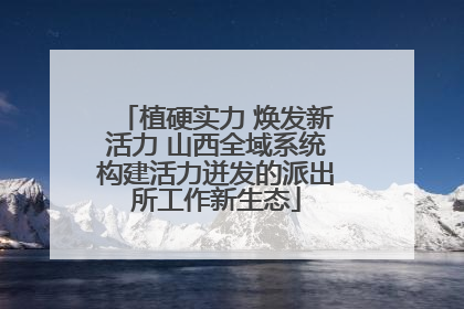 植硬实力 焕发新活力 山西全域系统构建活力迸发的派出所工作新生态