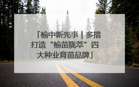 榆中新先事｜多措打造“榆苗陇萃”四大种业育苗品牌