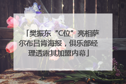樊振东“C位”亮相萨尔布吕肯海报，俱乐部经理透露其加盟内幕