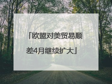 欧盟对美贸易顺差4月继续扩大