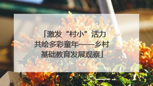 激发“村小”活力 共绘多彩童年——乡村基础教育发展观察