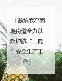 潍坊寒亭固堤街道全力以赴护航“三夏”安全生产工作