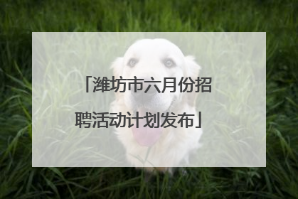 潍坊市六月份招聘活动计划发布