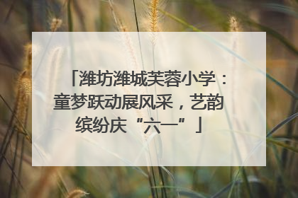 潍坊潍城芙蓉小学：童梦跃动展风采，艺韵缤纷庆“六一”