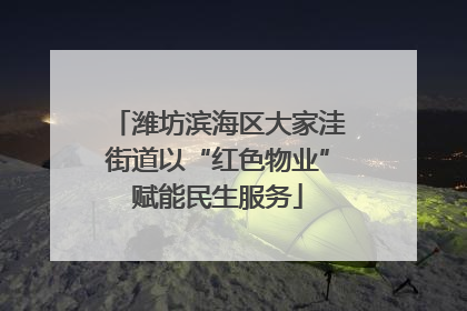 潍坊滨海区大家洼街道以“红色物业”赋能民生服务