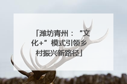 潍坊青州：“文化+”模式引领乡村振兴新路径