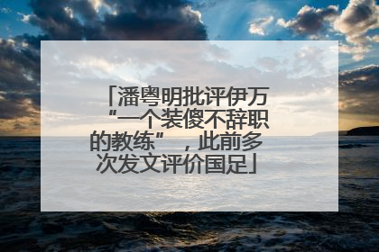 潘粤明批评伊万“一个装傻不辞职的教练”，此前多次发文评价国足