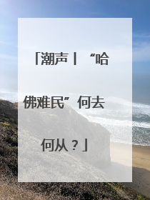 潮声丨“哈佛难民”何去何从？