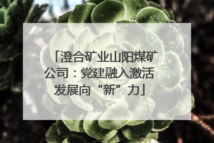 澄合矿业山阳煤矿公司：党建融入激活发展向“新”力
