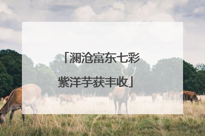 澜沧富东七彩紫洋芋获丰收