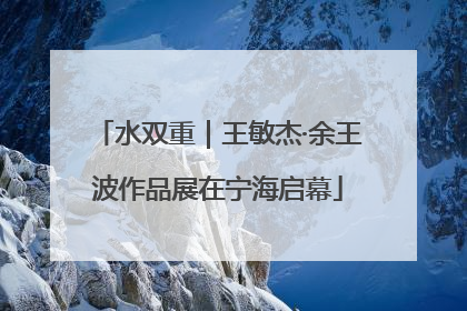 水双重｜王敏杰·余王波作品展在宁海启幕
