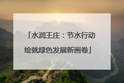 水润王庄：节水行动绘就绿色发展新画卷