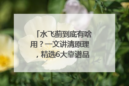 水飞蓟到底有啥用？一文讲清原理，精选6大靠谱品牌助你科学养生