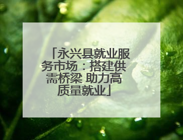 永兴县就业服务市场：搭建供需桥梁 助力高质量就业