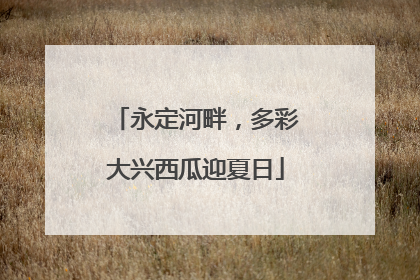永定河畔，多彩大兴西瓜迎夏日