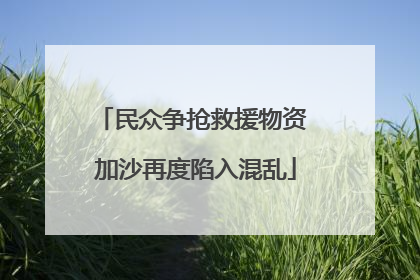 民众争抢救援物资 加沙再度陷入混乱