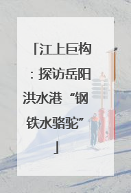 江上巨构：探访岳阳洪水港“钢铁水骆驼”