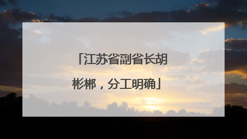 江苏省副省长胡彬郴，分工明确
