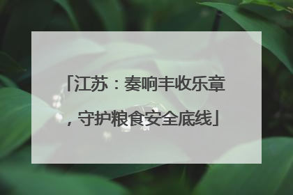 江苏：奏响丰收乐章，守护粮食安全底线