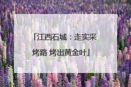 江西石城：走实采烤路 烤出黄金叶