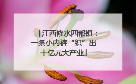 江西修水四都镇：一条小内裤“织”出十亿元大产业