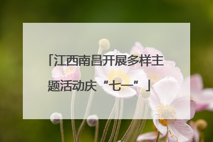 江西南昌开展多样主题活动庆“七一”
