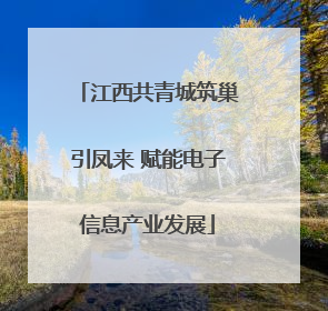 江西共青城筑巢引凤来 赋能电子信息产业发展