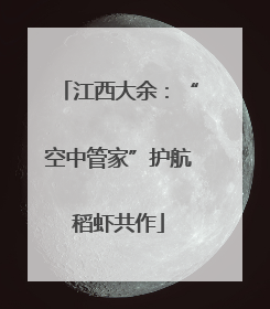 江西大余：“空中管家”护航稻虾共作