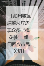 池州城区清溪河岸边现众多“梅花桩” 部门回应市民关切