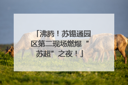 沸腾！苏锡通园区第二现场燃爆“苏超”之夜！