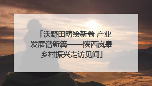 沃野田畴绘新卷 产业发展谱新篇——陕西岚皋乡村振兴走访见闻