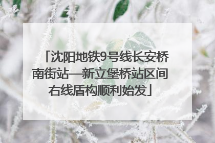 沈阳地铁9号线长安桥南街站—新立堡桥站区间右线盾构顺利始发