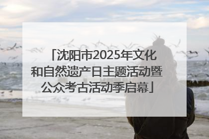 沈阳市2025年文化和自然遗产日主题活动暨公众考古活动季启幕