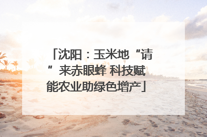 沈阳：玉米地“请”来赤眼蜂 科技赋能农业助绿色增产