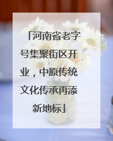 河南省老字号集聚街区开业，中原传统文化传承再添新地标