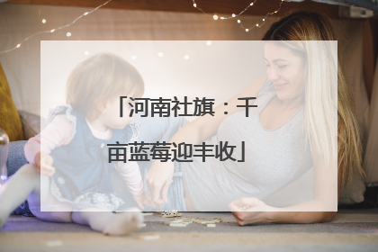 河南社旗：千亩蓝莓迎丰收