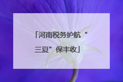 河南税务护航“三夏”保丰收