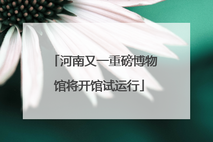 河南又一重磅博物馆将开馆试运行