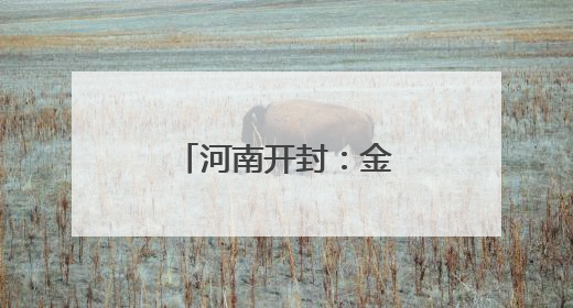 河南开封：金明池畔荷韵浓