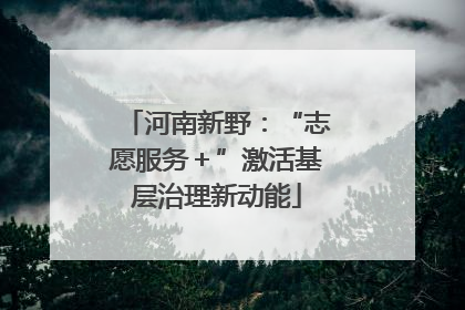 河南新野：“志愿服务＋”激活基层治理新动能