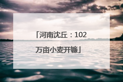河南沈丘：102 万亩小麦开镰