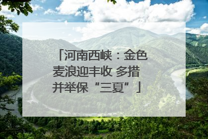 河南西峡：金色麦浪迎丰收 多措并举保“三夏”