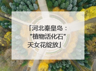 河北秦皇岛：“植物活化石”天女花绽放