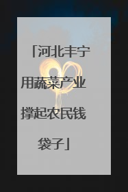 河北丰宁用蔬菜产业撑起农民钱袋子